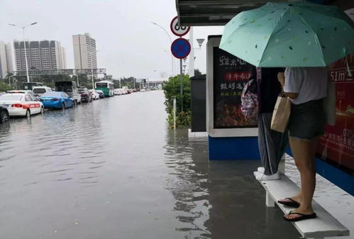 龙舟水 凶猛来袭 红暴 或也要来 珠海未来天气将......