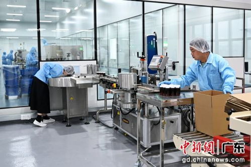 广东珠海 新世界工厂 在珠澳跨境工业区启用